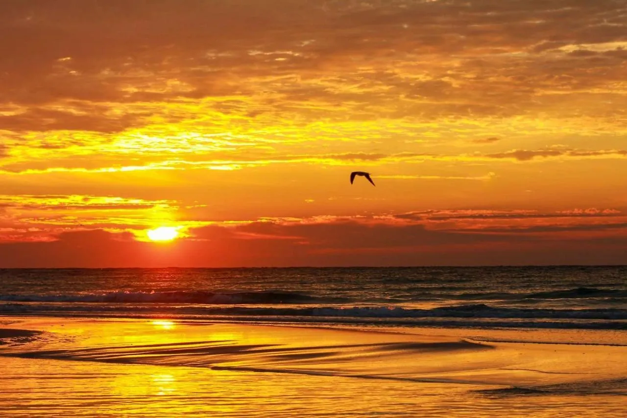 Emerald Winds Panama City Beach 0*,